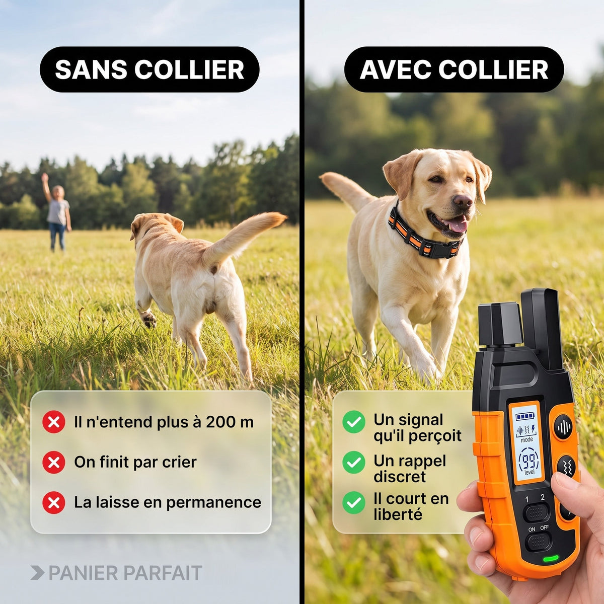 Collier de dressage rechargeable étanche 1000 m