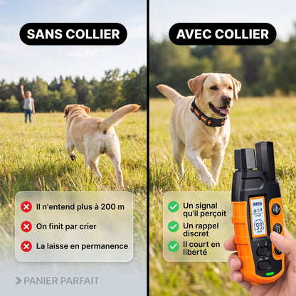 Collier de dressage rechargeable étanche 1000 m