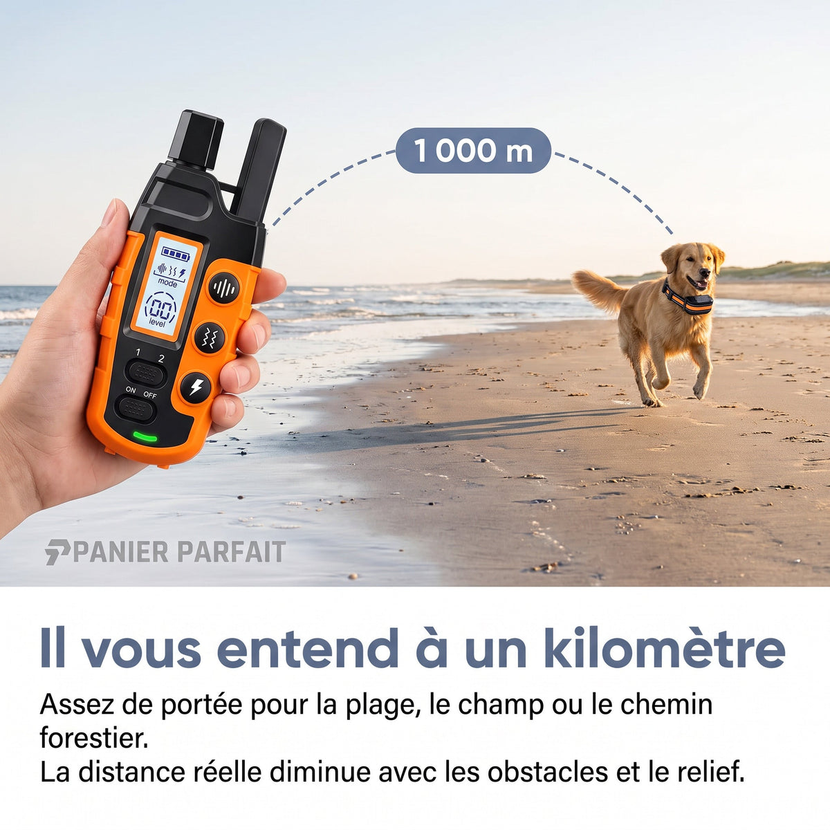 Collier de dressage rechargeable étanche 1000 m