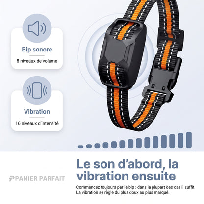 Collier de dressage rechargeable étanche 1000 m