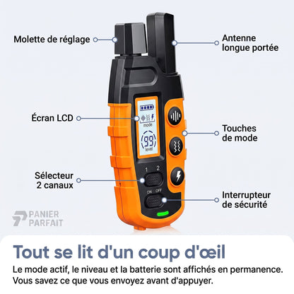 Collier de dressage rechargeable étanche 1000 m