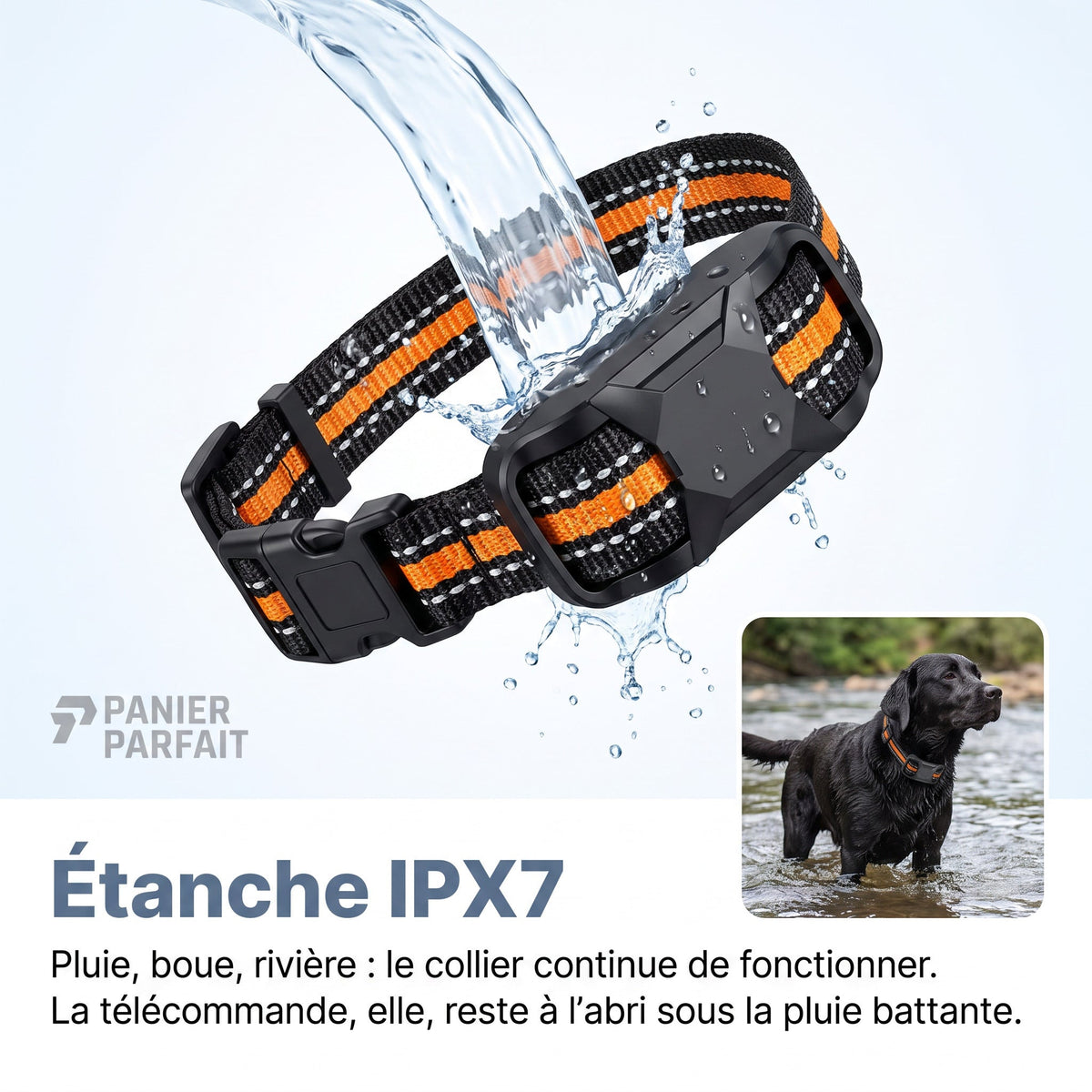 Collier de dressage rechargeable étanche 1000 m
