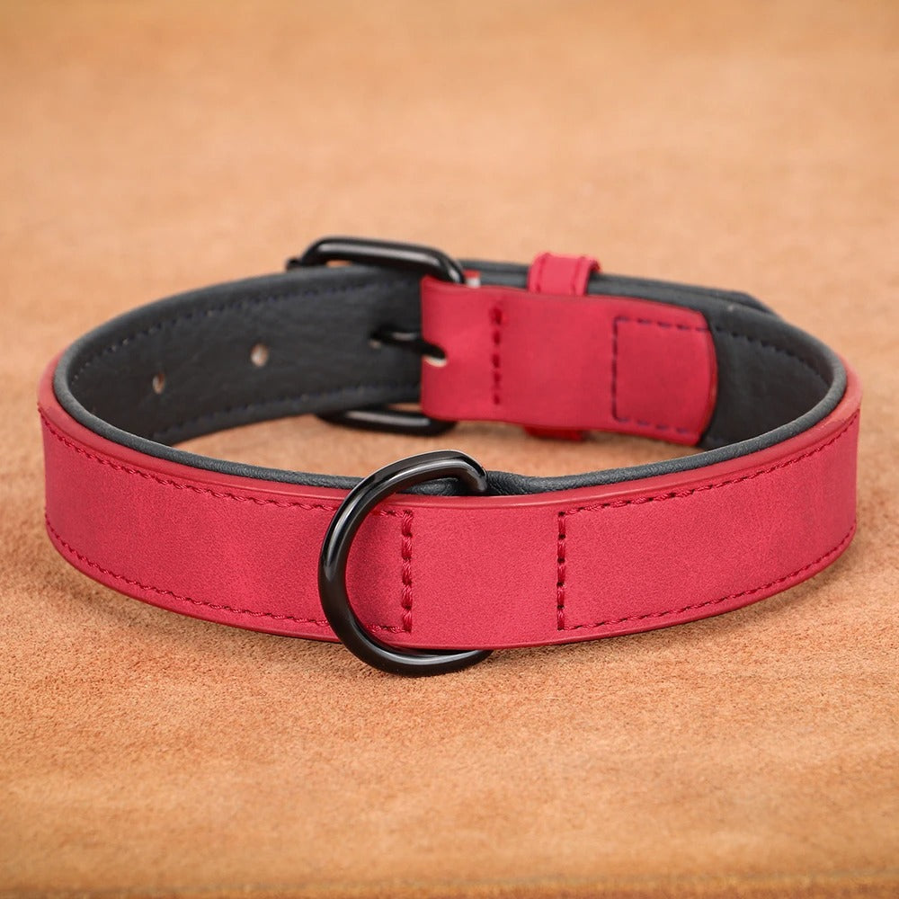 Collier réglable en nylon pour grands chiens