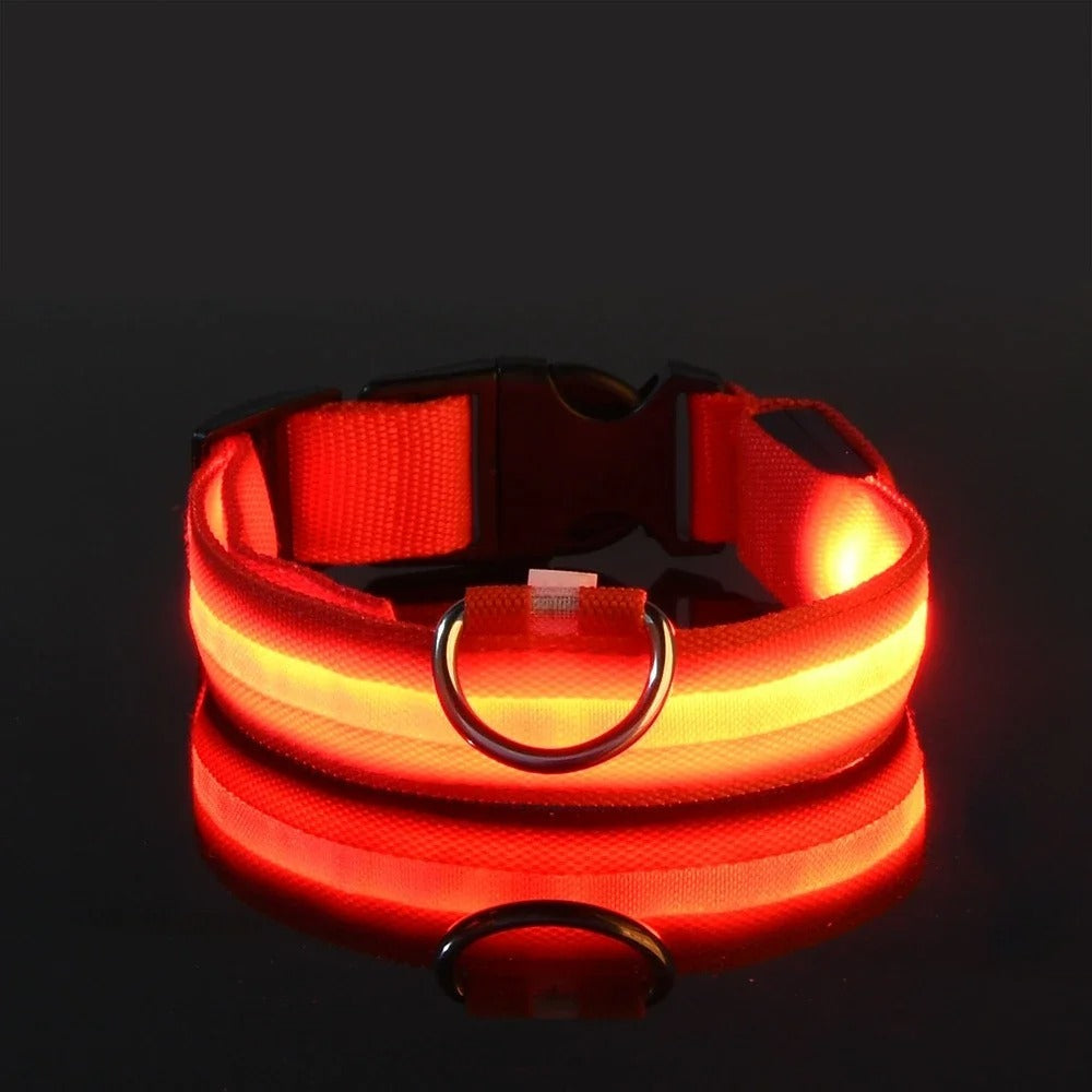 Light-Up Dog Collar and Leash