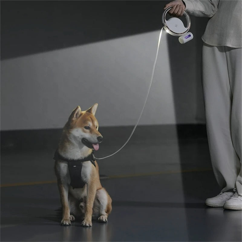 Laisse automatique sécurisée pour chien
