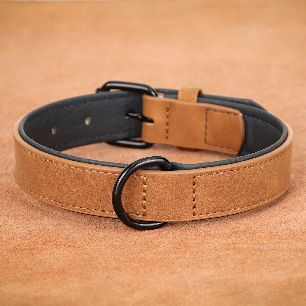 Collier réglable en nylon pour grands chiens