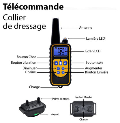 Collier anti-aboiement étanche rechargeable pour chien
