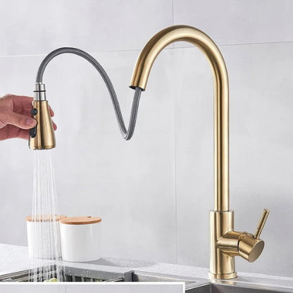 Kitchen Faucet with Adjustable Hand Shower