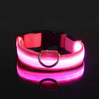 Light-Up Dog Collar and Leash