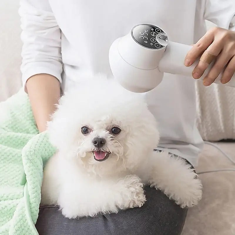 Sèche-cheveux Silencieux et Doux - Santeova