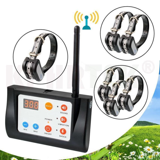 Clôture Électronique Pour Chien En Liberté - Santeova