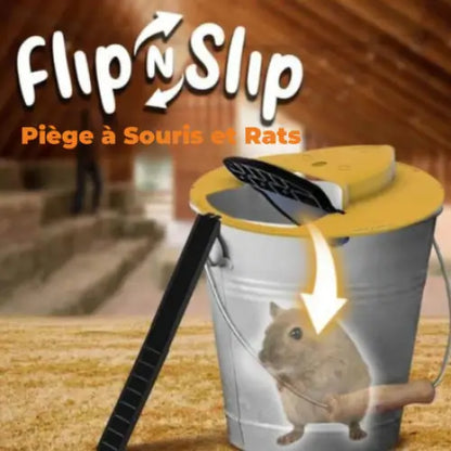 Piège à souris et rats à bascule et glissière