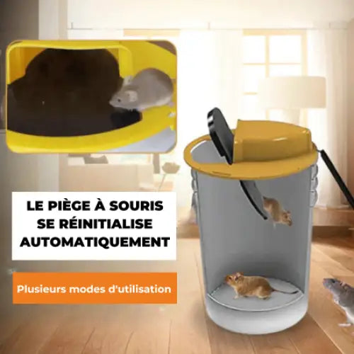 Piège à souris et rats à bascule et glissière