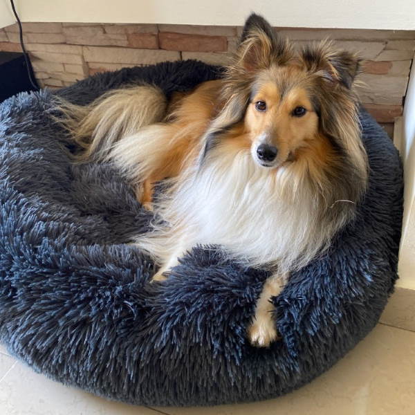 Cozy Dog Cushion - Washable Dog Bed
